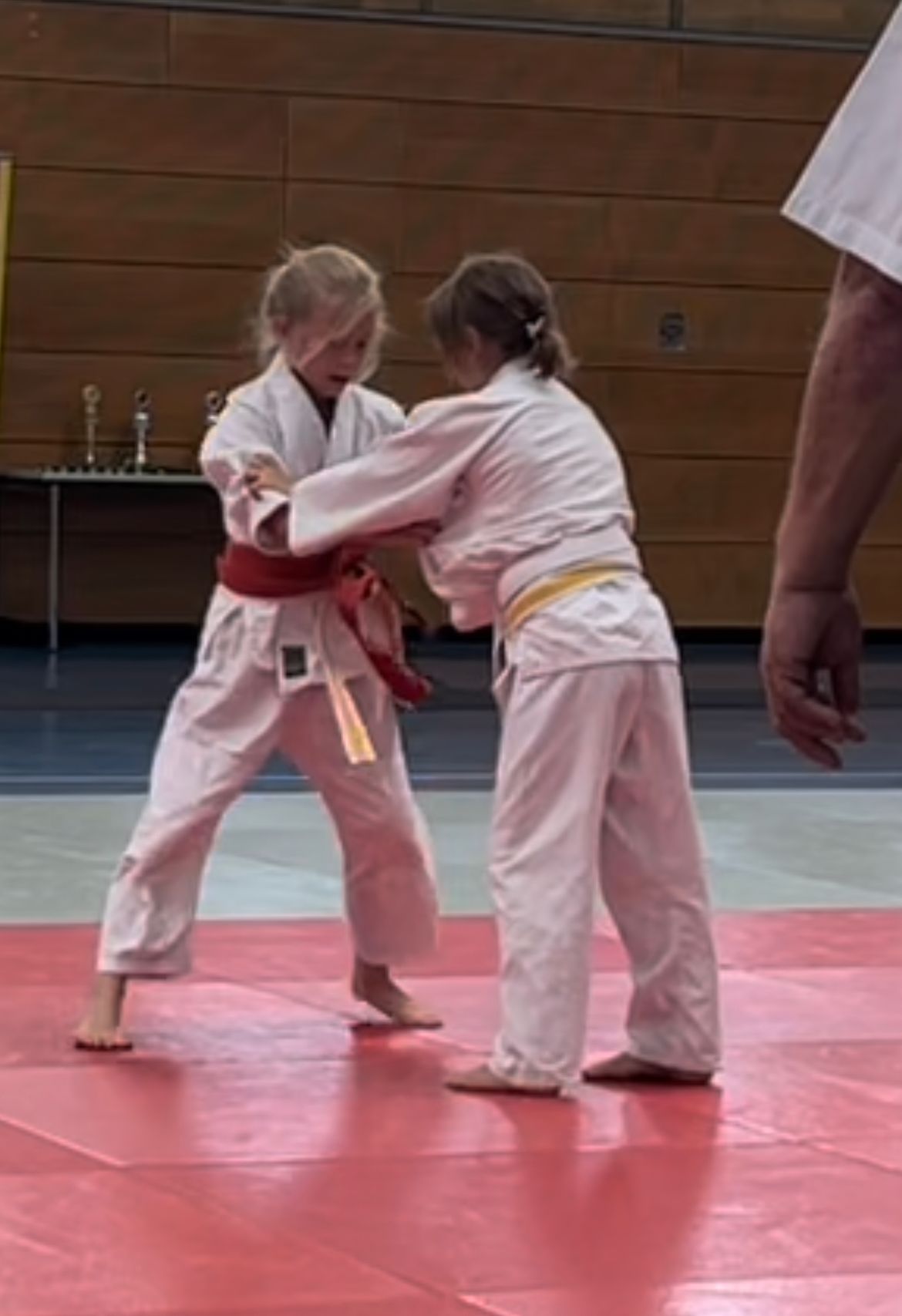Judo-Nachwuchs im Kampf